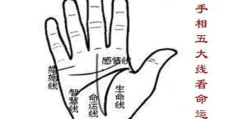 手掌手纹看命运