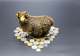 八字增加财运的实用方法（八字增加财运的实用方法有哪些）