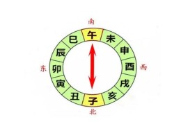 八字地支子午相冲代表什么