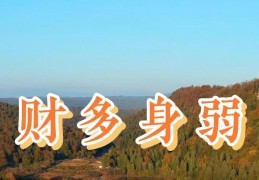 八字见财多身弱代表什么