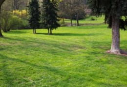 八字纳音中有什么木