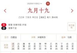 2025年11月8日每日五行穿衣指数解读搭配