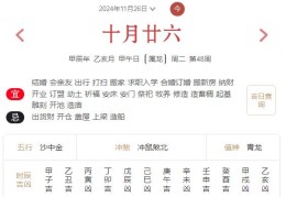 2024年11月26日每日五行穿衣指数解读搭配