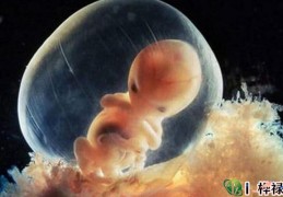 六爻测孕育方法取象