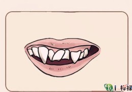 要破财的体相特征