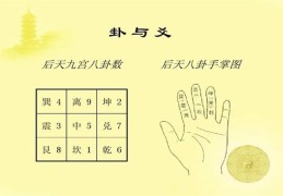 动爻的断法技巧