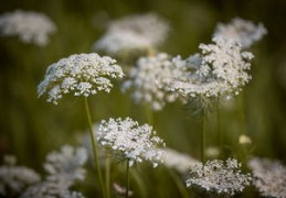 十天干庚金生于各月详解