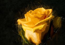 佛灯火命好吗（2024年龙宝命运咋样佛灯火命好吗）