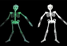 骨架大小看贵贱