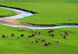 八字地支合会局用法技巧