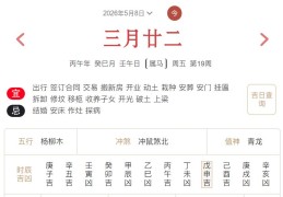 2026年5月8日每日五行穿衣指数解读搭配