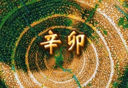 辛卯日出生的人命好吗，辛卯日各个时辰吉凶