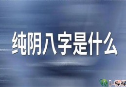 八字假纯阴是怎么回事