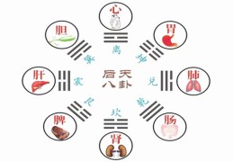 ​六爻八卦万物类象