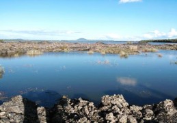 四柱地支一片子水好吗，八字地支四个水