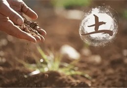 八字中缺土就一定喜土吗