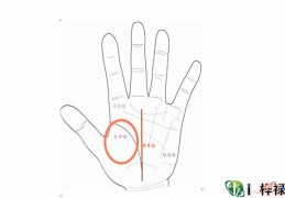 手相：生命线是哪条线