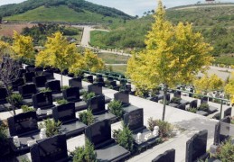 公墓风水的选择