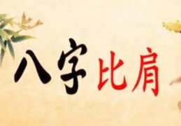 女命八字比肩多命好吗