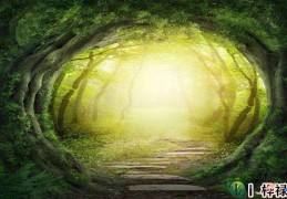 八字命宫是什么