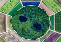 八字神煞金舆贵人详解