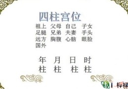 四柱宫位六亲凶吉论