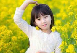 女人办公室风水布局（女员工办公室风水摆放图片）