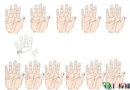 女人手相婚姻线看法