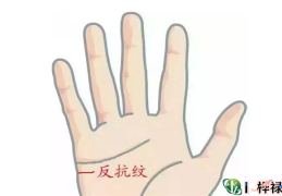 手相基础：认识手相反抗线