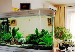 风水鱼缸应如何摆放风水好