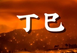 丁巳日出生的人命好吗，丁巳日各个时辰吉凶