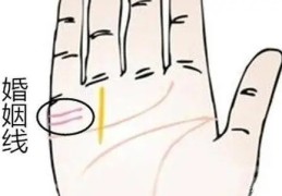 手掌婚姻线看离婚