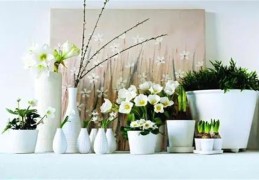 住宅内摆放花草要注意哪些风水