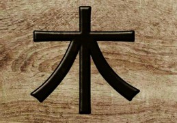 最全的五行木详解