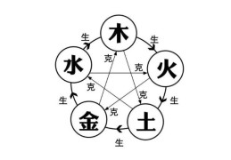 怎么判断五行属什么