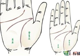 手相健康线看身体健康