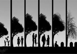 八字六亲选用技巧