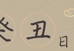 癸丑日柱男命好吗