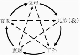 解析六爻六亲变爻化