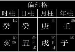 八字偏印格什么意思，详解大全