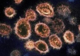 八字看灾病应期技巧