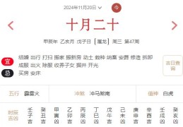 2024年11月20日每日五行穿衣指数解读搭配
