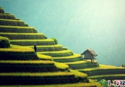 孤鸾煞男命的人怎么样