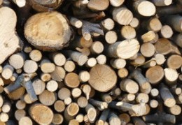 喜用神木火土好吗