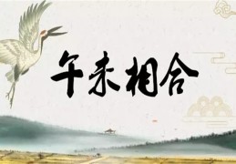 八字午未合化火土详解