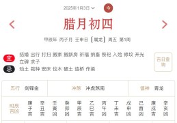 2025年1月3日每日五行穿衣指数解读搭配