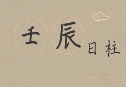 壬辰日柱的男人命好吗