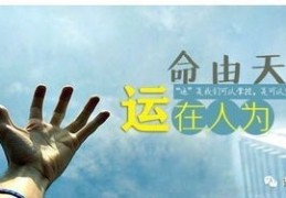 偏印太多的人怎么化解（偏印太多怎么办）