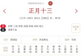 2025年2月10日每日五行穿衣指数解读搭配