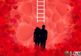 六爻官鬼爻测婚姻好坏技巧